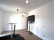 Apartament 2 camere, mobilat, vedere spre grădină. Core... 