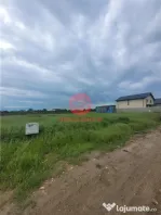 Teren Intravilan, Ovidiu, Spre Poiana,3 loturi de 302 mp fie
