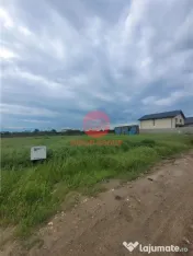 Teren Intravilan, Ovidiu, Spre Poiana,3 loturi de 302 mp fie