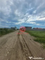 Teren Intravilan, Ovidiu, Spre Poiana,3 loturi de 302 mp fie