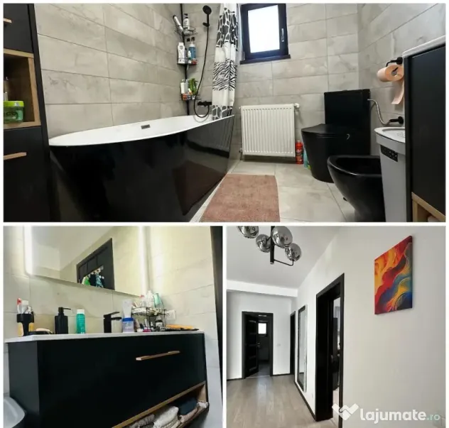 Vand casa 2024 Hemeius P+M la strada principală