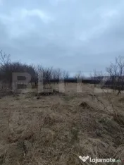 Casă veche, 4118 mp teren, Vornicenii Mici, Moara 