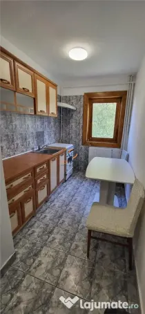 Apartament 1 Camera Decomandat Etaj 1 Zona Buziasului Aem