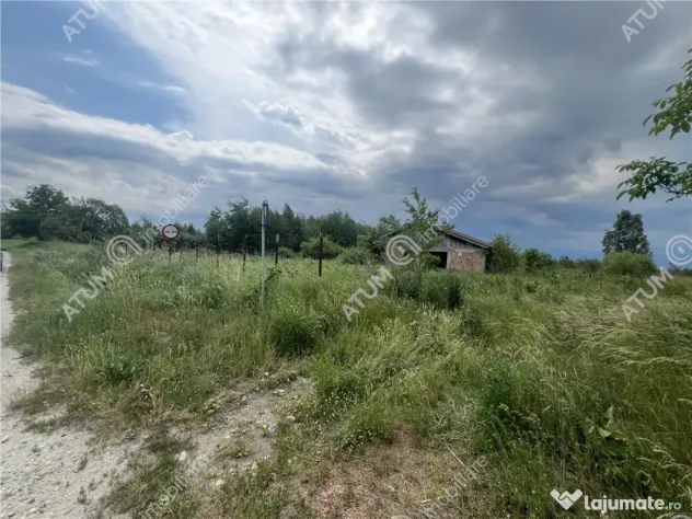 Teren curti constructii de 20200 mp cu deschidere de 72 m in