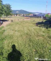 Casa spațioasă, semi-finisată, cu potențial în Urisior