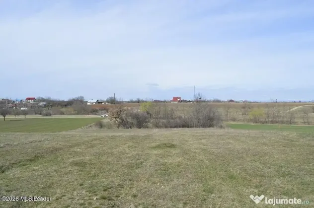 Suseni - Teren intravilan rezidential, suprafata 4000 mp