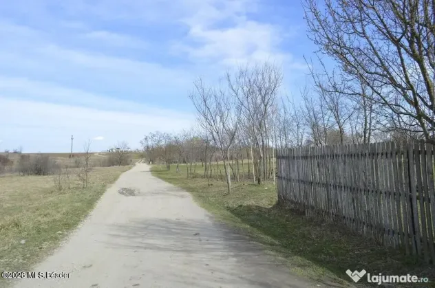 Suseni - Teren intravilan rezidential, suprafata 4000 mp