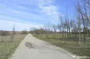 Suseni - Teren intravilan rezidential, suprafata 4000 mp 