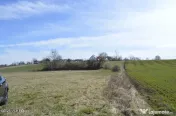 Suseni - Teren intravilan rezidential, suprafata 4000 mp