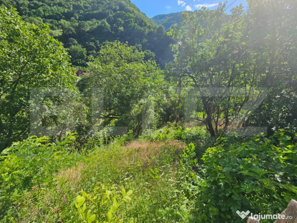 Casă tradițională - o investiție cu potențial de dezvol