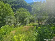 Casă tradițională - o investiție cu potențial de dezvol