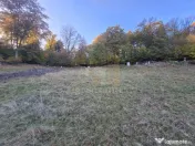 Teren intravilan Brasov Strada Ciresului 2900 mp
