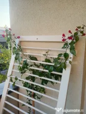 De vanzare, apartament modern în Top City, Tractorul