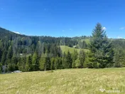 De vanzare teren exceptional la Piatra Fantanele - langa Ca