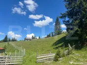 De vanzare teren exceptional la Piatra Fantanele - langa Ca
