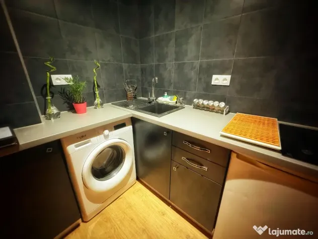Apartament 1 camera - zona Praporgescu