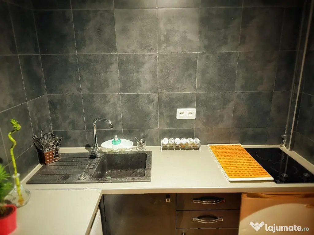 Apartament 1 camera - zona Praporgescu