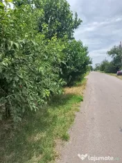 Vand casa 4 camere locuibila Izvoarele