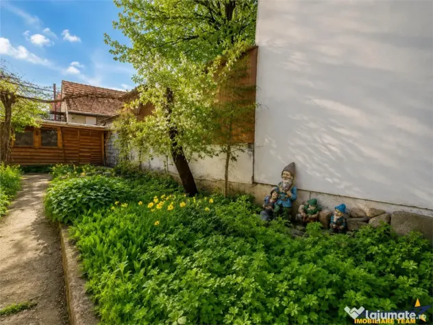 Casa individuala, compusa din 2 apartamente, zona Premium,