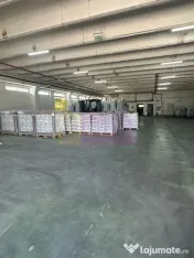 Hale industriale cu parcari multiple Bragadiru Sos Alexan... 