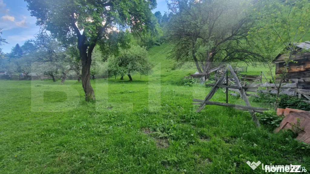 Vila in Moeciu de Sus - 12 camere teren 4780 mp - bonus 2000 - Moieciu (Brasov)