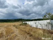Teren intravilan imprejmuit 1000mp, total 2550mp, in Argines 