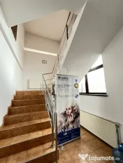MIRCEA CEL BATRAN - CASA INDIVIDUALA TEREN GENEROS - SAD - 