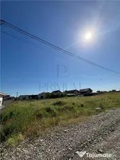 Teren- MOSNITA VECHE- 640mp 