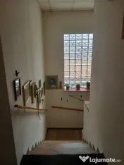 Casă P+1 zona Cantacuzino "Pisica Albă", 280mp, garaj — 