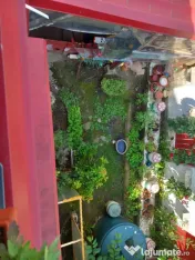 Casă P+1 zona Cantacuzino "Pisica Albă", 280mp, garaj — 