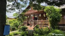 Domeniu rural, gospodarie/multifunctionala cu casa, livad...