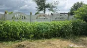 Domeniu rural, gospodarie/multifunctionala cu casa, livad... 