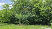 Domeniu rural, gospodarie/multifunctionala cu casa, livad... 