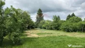 Domeniu rural, gospodarie/multifunctionala cu casa, livad... 