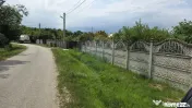Domeniu rural, gospodarie/multifunctionala cu casa, livad... 