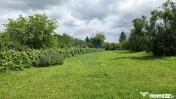 Domeniu rural, gospodarie/multifunctionala cu casa, livad... 