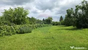Domeniu rural, gospodarie/multifunctionala cu casa, livad... 