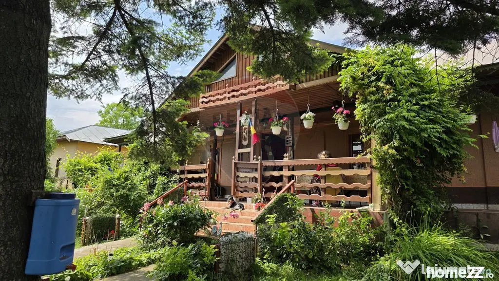 Domeniu rural, gospodarie/multifunctionala cu casa, livad...