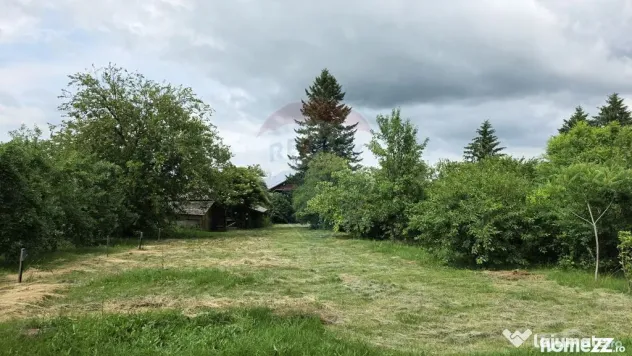 Domeniu rural, gospodarie/multifunctionala cu casa, livad...