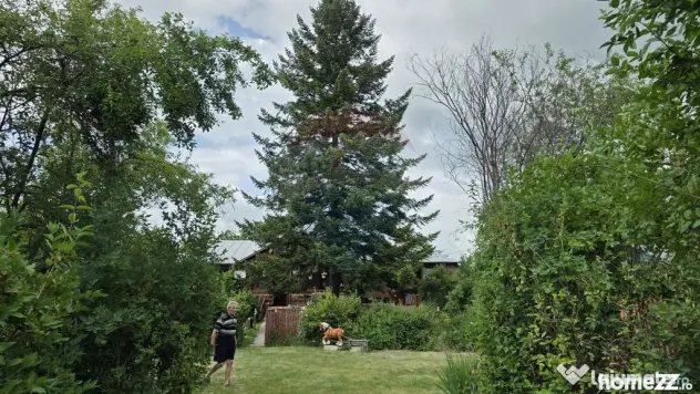 Domeniu rural, gospodarie/multifunctionala cu casa, livad...