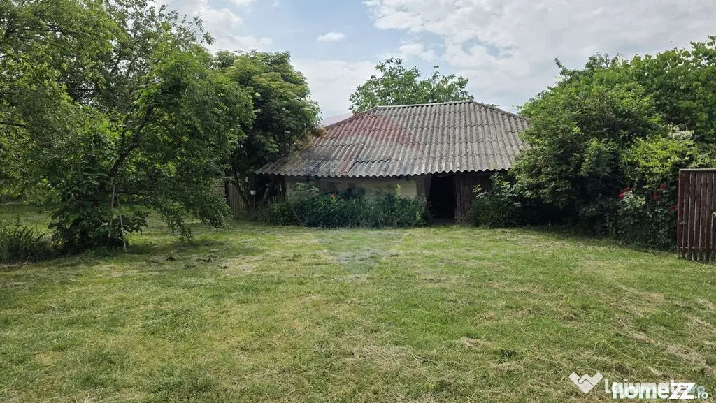 Domeniu rural, gospodarie/multifunctionala cu casa, livad...