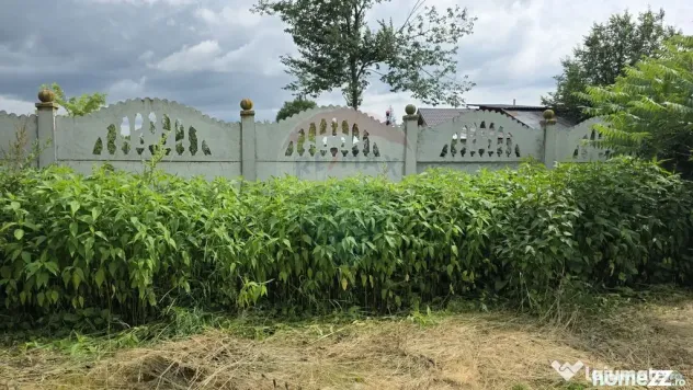 Domeniu rural, gospodarie/multifunctionala cu casa, livad...