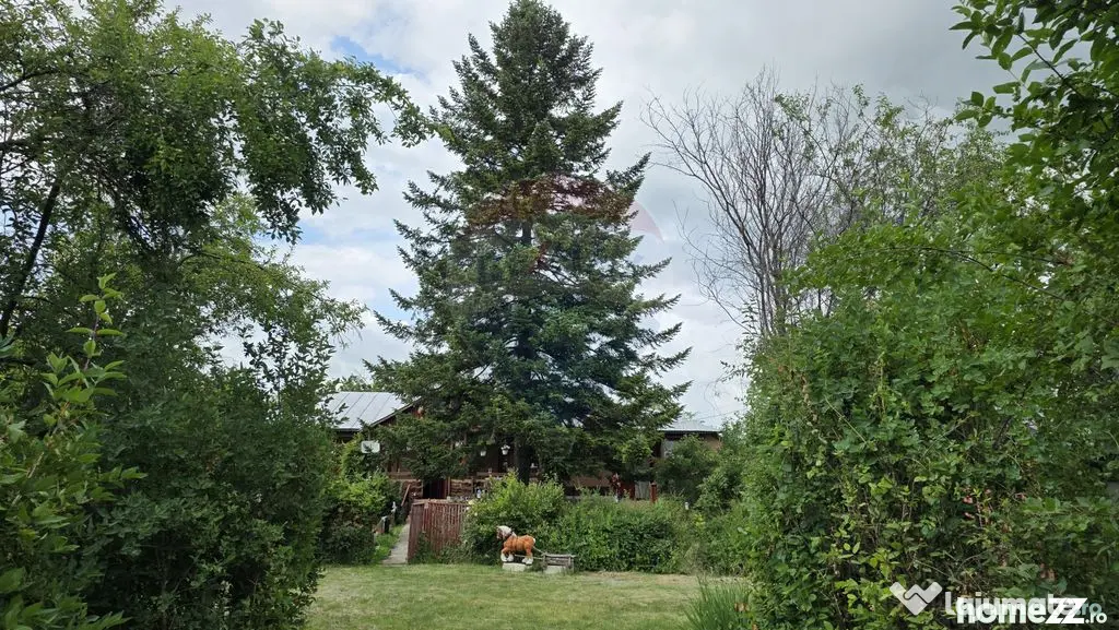 Domeniu rural, gospodarie/multifunctionala cu casa, livad...