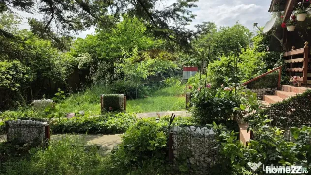 Domeniu rural, gospodarie/multifunctionala cu casa, livad...