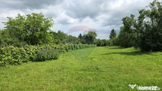 Domeniu rural, gospodarie/multifunctionala cu casa, livad...