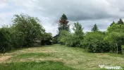 Domeniu rural, gospodarie/multifunctionala cu casa, livad... 