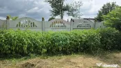 Domeniu rural, gospodarie/multifunctionala cu casa, livad... 