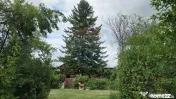Domeniu rural, gospodarie/multifunctionala cu casa, livad... 