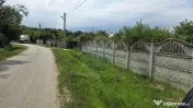 Domeniu rural, gospodarie/multifunctionala cu casa, livad... 