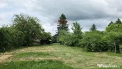 Domeniu rural, gospodarie/multifunctionala cu casa, livad... 